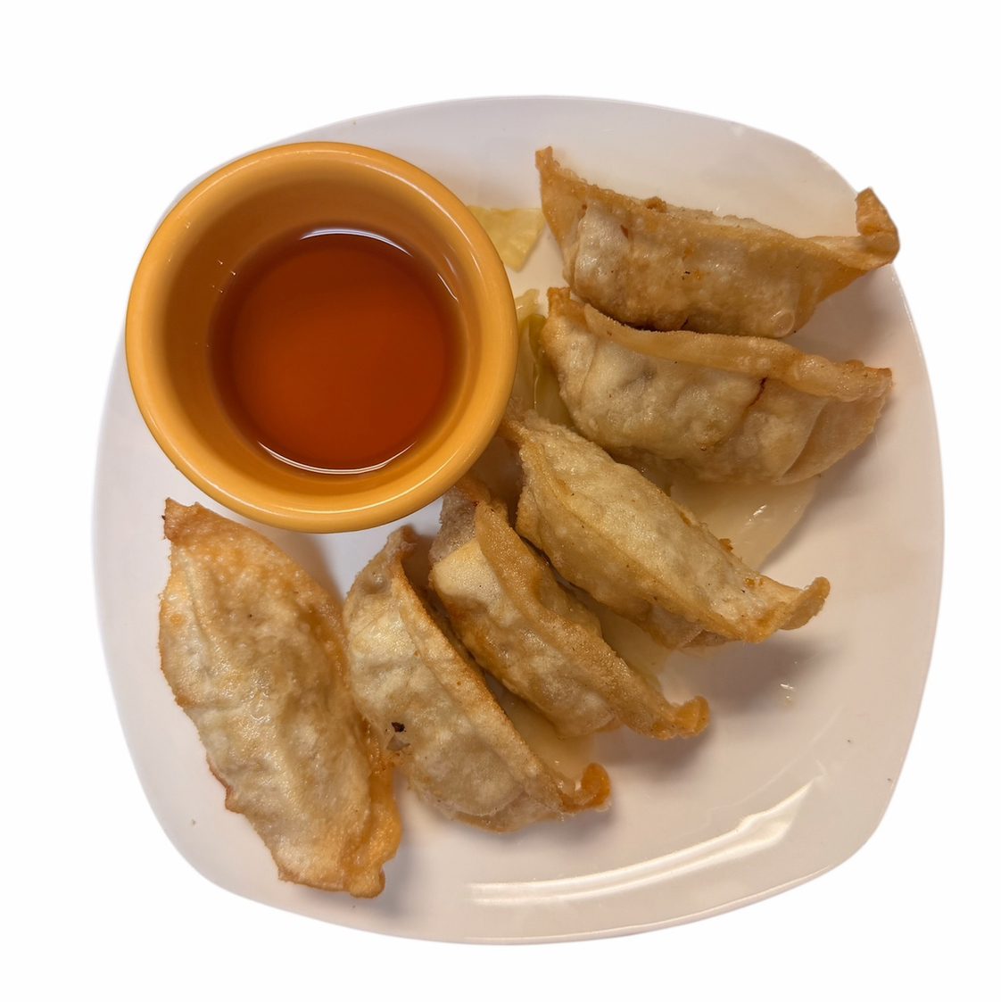 Fried Pork Dumpling.